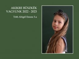 19_tothabigelemese3a