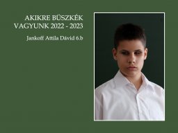 41_jankoffattiladavid6b