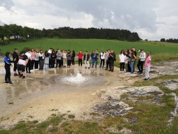 075_szurkeszakallgejzir01