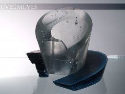 006uvegmuves